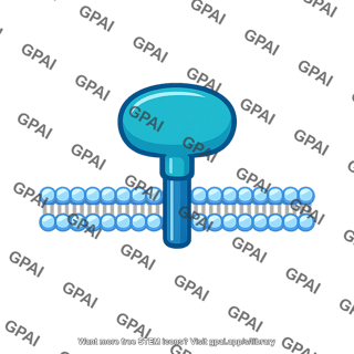 Membrane receptor protein
