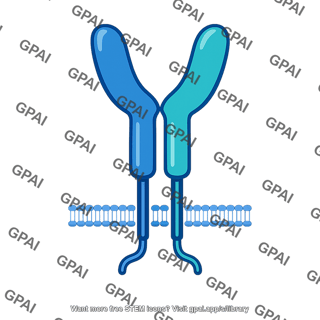 Leptin receptor dimer