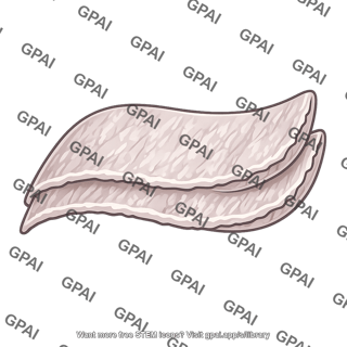 Pleura fibrotic
