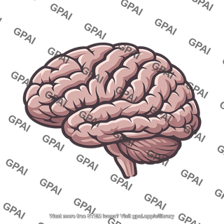 Human brain