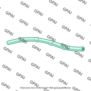 Lymphatic vessel meningeal