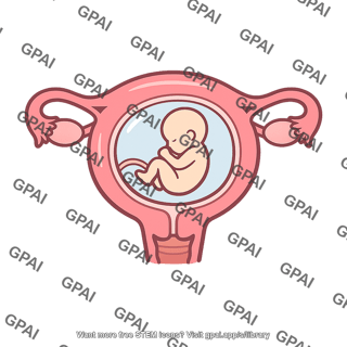 Pregnant uterus with fetus