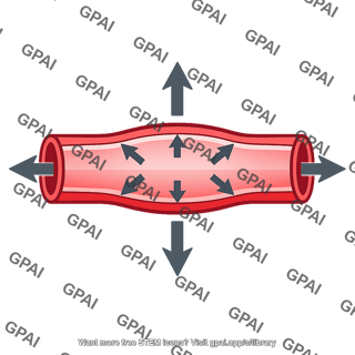 Capillary hydrostatic pressure