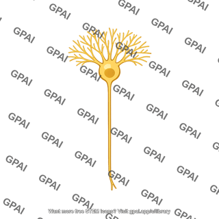 Retinal ganglion cell
