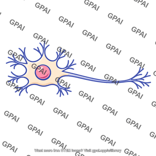 Nerve cell