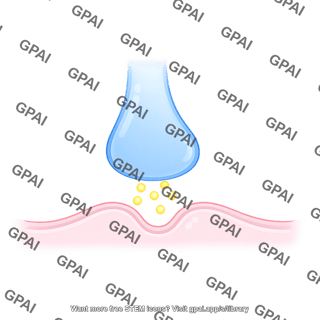 Synaptic cleft postsynaptic membrane