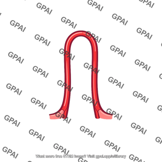 Capillary loop eponychium