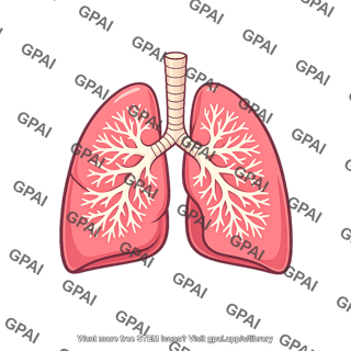 Lung normal