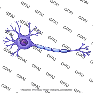 Neuron cell