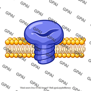 Membrane enzyme