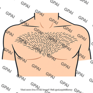 Chest hair