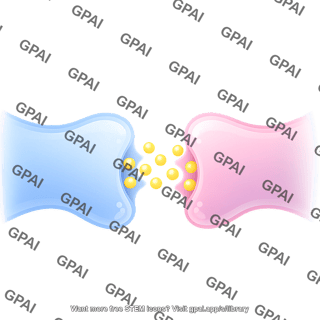 Synaptic cleft postsynaptic membrane 2