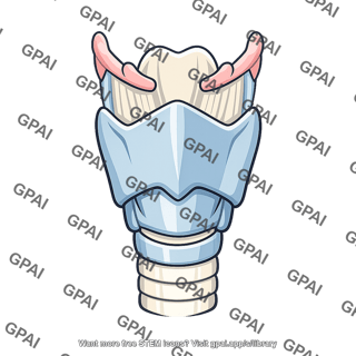 Larynx enlarged