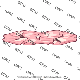 Muscle fiber degenerated