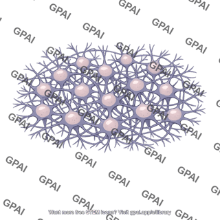 Neuronal pool