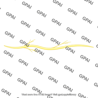 Afferent nerve fiber