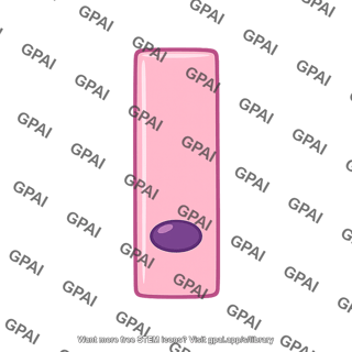 Mucosal cell