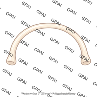 Semicircular duct double widened ends