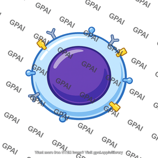 Naive cd4 positive t helper cell