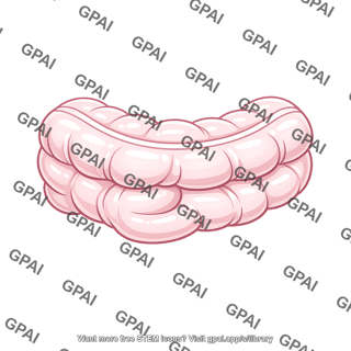 Large intestine