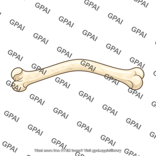Bone osteomalacia