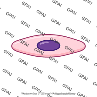 Vascular cell