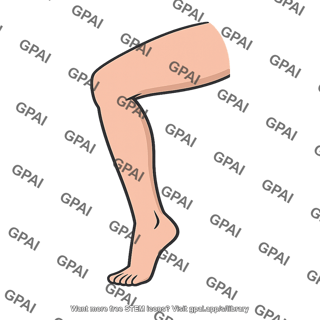 Leg isolated
