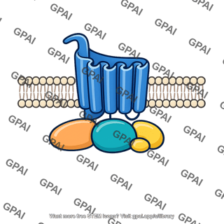Membrane receptor g protein