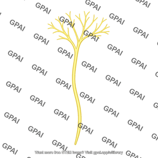 Skin nerve fiber