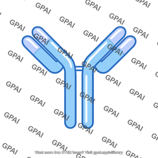 Antibody molecule