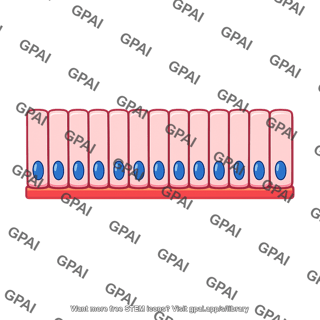 Gut wall epithelium