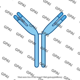 Antibody molecule