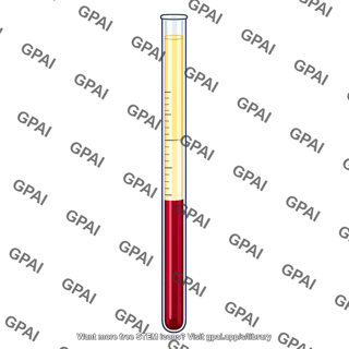 Hematocrit tube