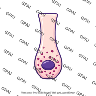 S cell