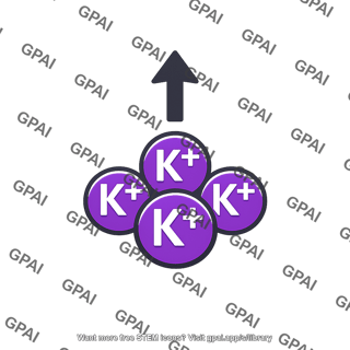 Potassium ion high
