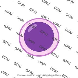 Spermatogonium