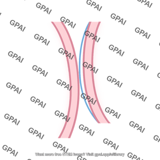 Pleural space