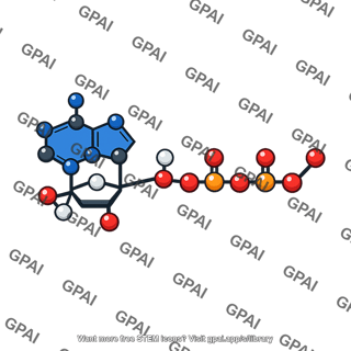 Adenosine triphosphate molecule
