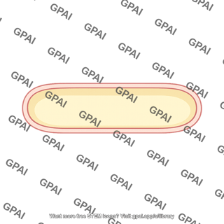 Kidney tubule lumen