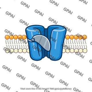 Protein channel gated