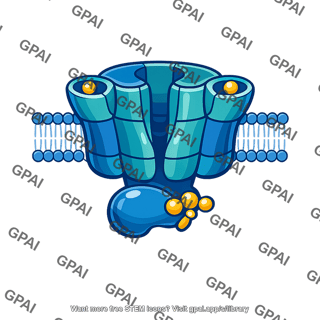 Hydrogen potassium atpase