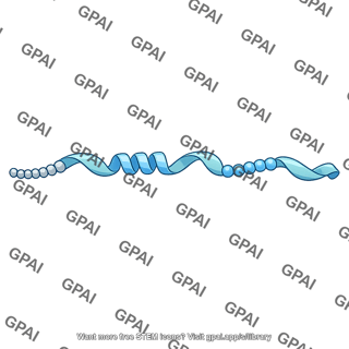 Preproinsulin