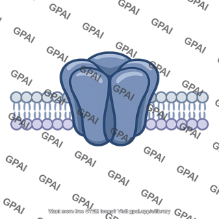 Postsynaptic membrane receptor inactivated