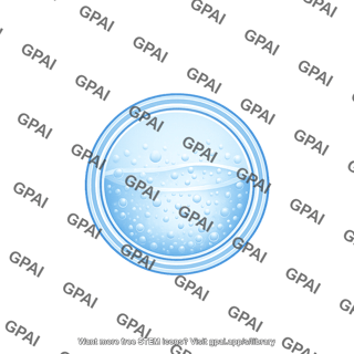 Vesicle small stage 3 filled