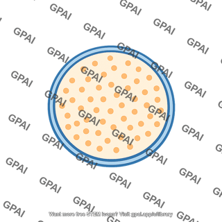 Acetylcholine vesicle