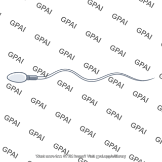 Sperm cell