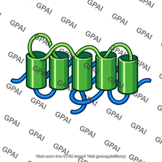 Transmembrane protein model