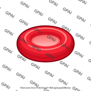 Red blood cell