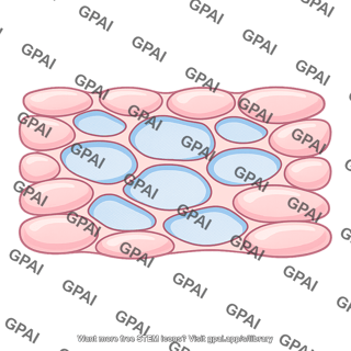 Tissue interstitial space