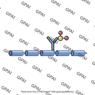 Tyrosine phosphorylation site